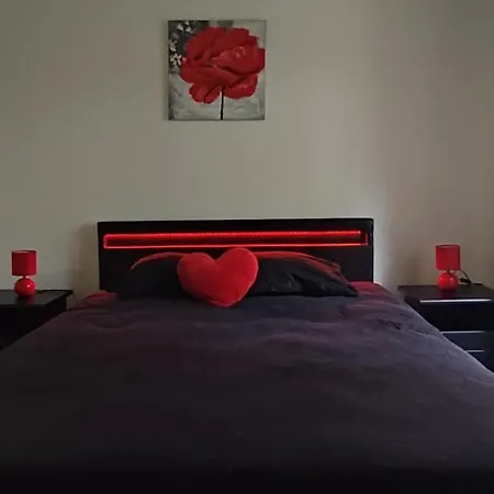 Appartement Logement Cosy Et Spacieux, A 2 Pas Du Centre-ville Colmar
